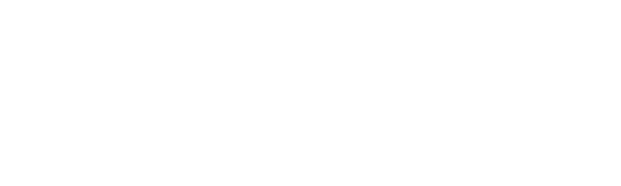 Zygo Team